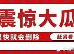 娱乐圈吃瓜帖子大全